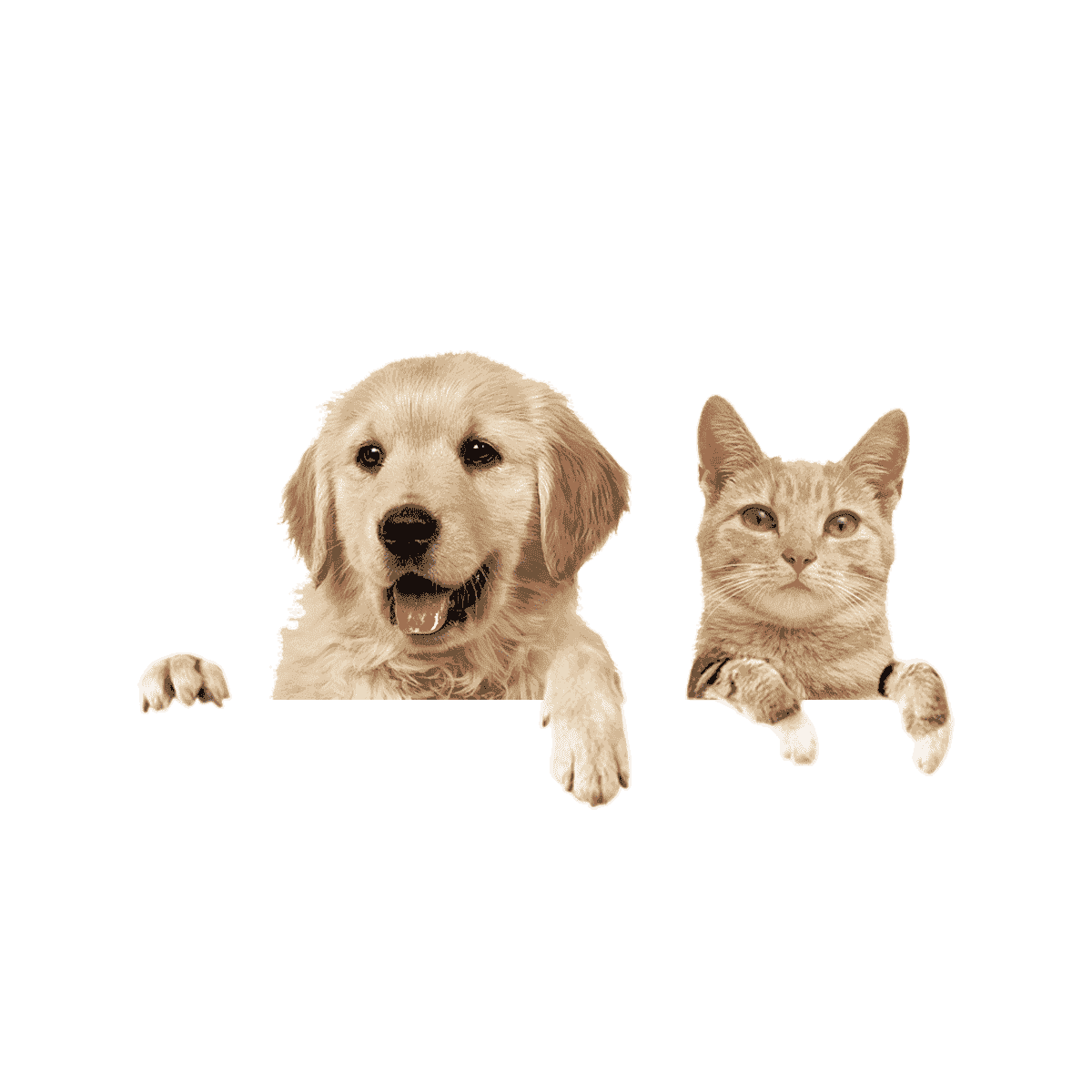 Illustrated pets